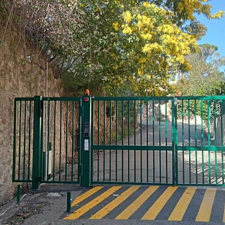T2 A Proximite Des Plages Cannes Dış mekan fotoğraf